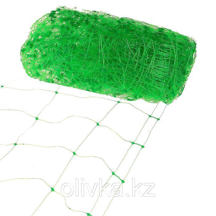 Сетка садовая, 2 × 5 м, ячейка 15 × 17 см, для огурцов