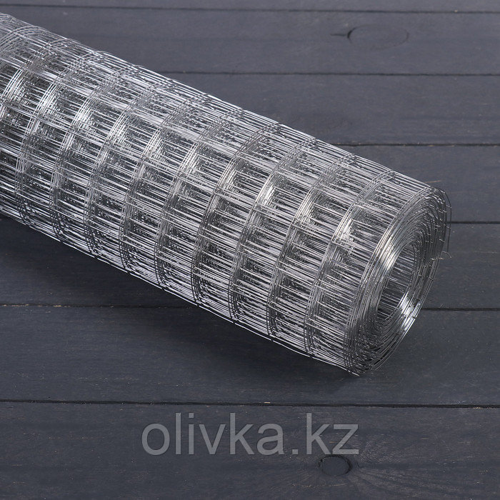 Сетка оцинкованная, сварная, 1 × 10 м, ячейка 25 × 25 мм, d = 0,7 мм, металл