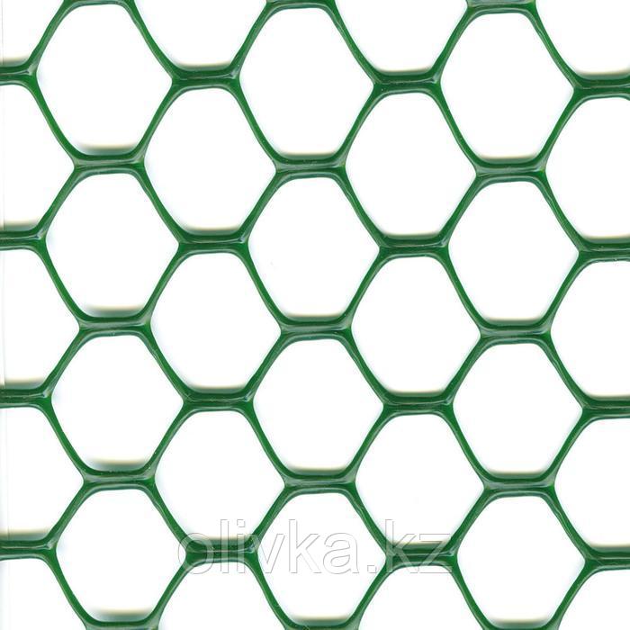 Сетка садовая, 1 × 5 м, ячейка 3 × 3 см, пластик, зелёная, Exagon
