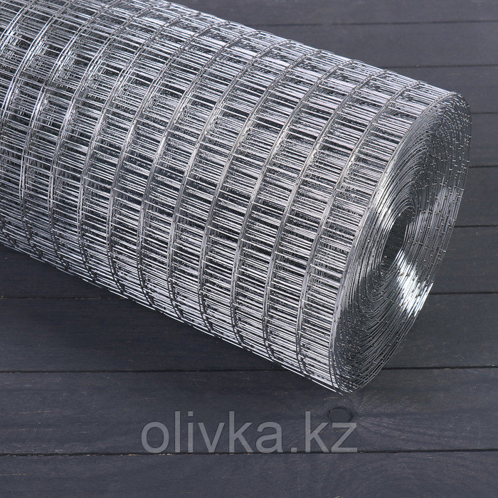 Сетка оцинкованная, сварная, 1 × 25 м, ячейка 25 × 25 мм, d = 1 мм, металл