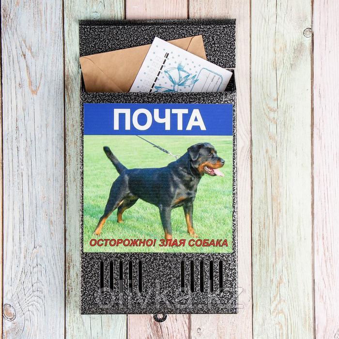 Ящик почтовый без замка (с петлёй), вертикальный, «Фото», МИКС, серебристый