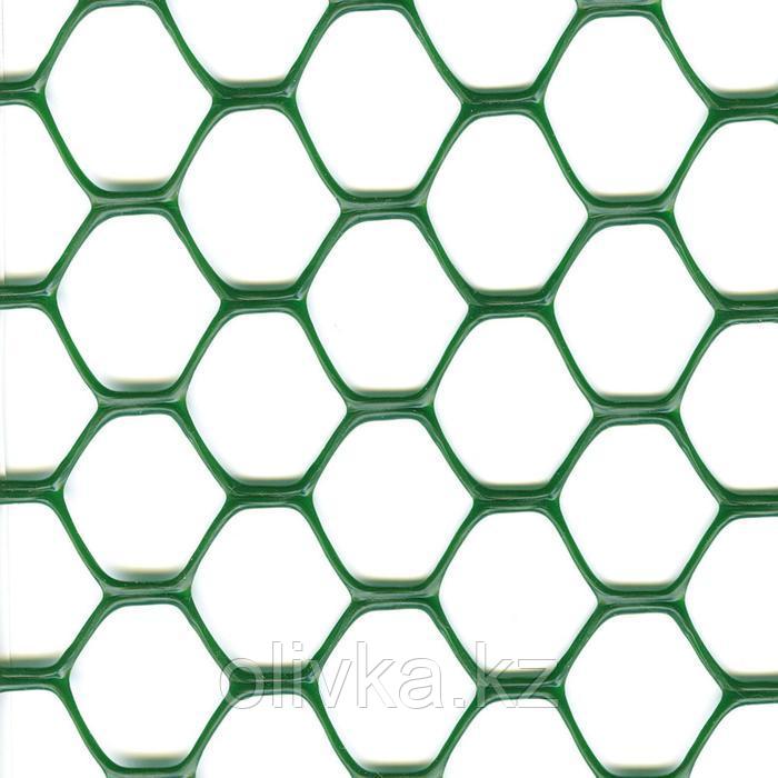 Сетка садовая, 1 × 30 м, ячейка 3 × 3 см, пластик, зелёная, Exagon