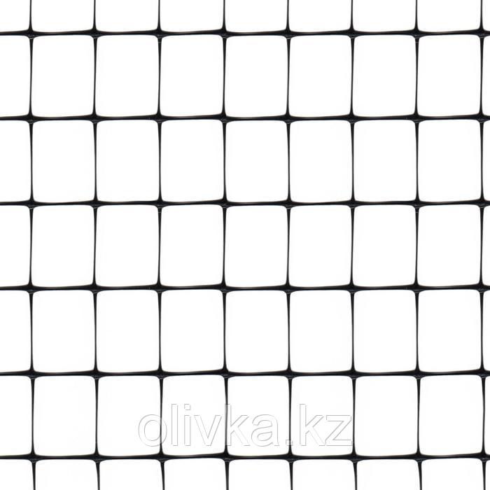 Сетка садовая, 2 × 200 м, ячейка 1,6 × 1,9 см, пластик, AVIARY