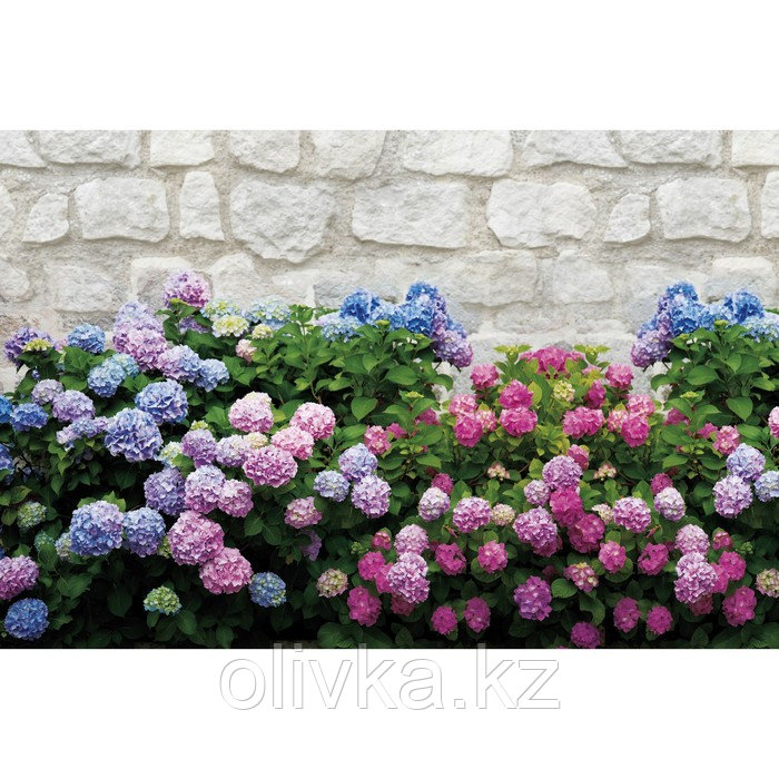 Фотобаннер, 300 × 160 см, с фотопечатью, люверсы шаг 1 м, «Цветы»