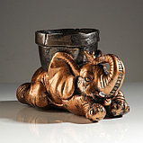 Кашпо "Слон с горшком'', бронзовый цвет, 0,5 л, микс, фото 6