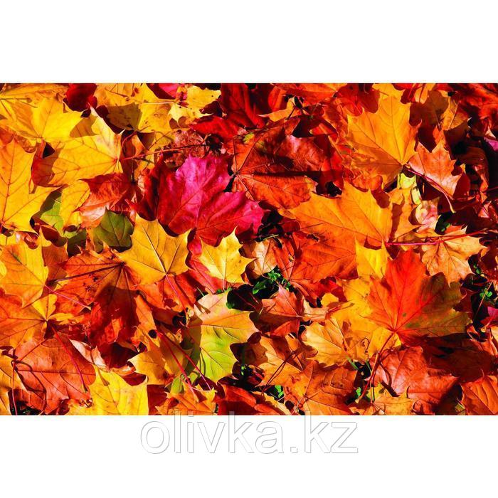 Фотобаннер, 250 × 200 см, с фотопечатью, люверсы шаг 1 м, «Осенние листья 1»