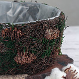 Кашпо плетёное круглое «Лесная сказка», 20×20×10 см, фото 2