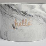 Керамическое кашпо с тиснением «Привет», 8 х 5,5 см, фото 4