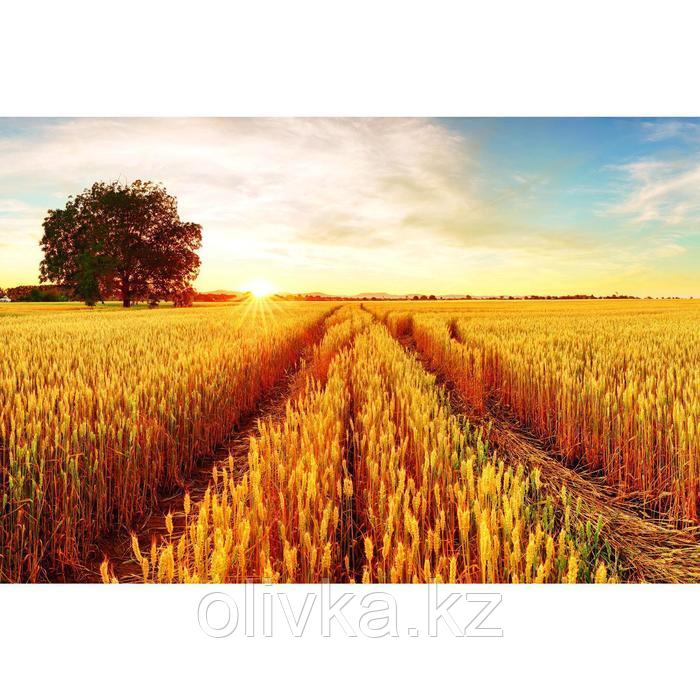 Фотобаннер, 250 × 200 см, с фотопечатью, люверсы шаг 1 м, «Осеннее поле»