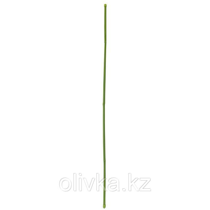 Опора для растений, h = 180 см, d = 16 мм, бамбук в пластике
