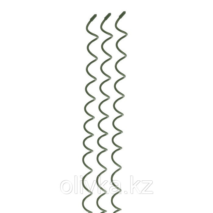 Кустодержатель, h = 75 см, спиральный, набор 3 шт., зелёный