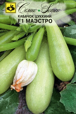 Семена цуккини Маэстро F1 (Китай)