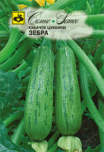Семена цуккини Зебра (Чехия)