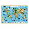 "Животный и растительный мир" Карта мира101х69 см. Ламинированная.