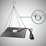 Фито панель красно-синий спектр 169 диодов для комнатных растений, фото 6