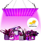 Фито панель красно-синий спектр 169 диодов для комнатных растений, фото 2