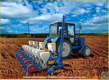 Навесная пропашная пневматическая сеялка "Быстрица" СНПП-5,6К