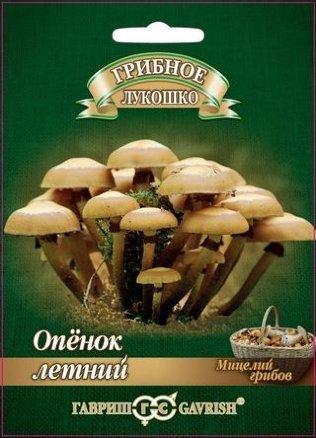 Мицелий грибов Гавриш "Опенок летний", фото 2