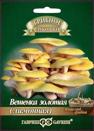 Мицелий грибов Гавриш "Вешенка золотая", фото 2