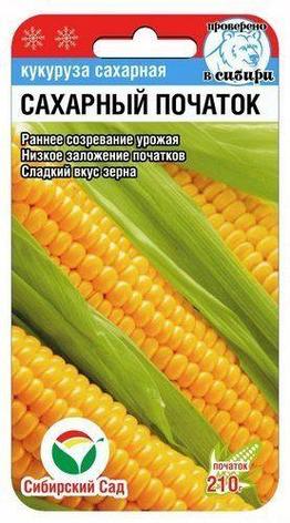 Семена кукурузы сахарной Сибирский сад "Сахарный початок"., фото 2