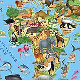 Настольная карта мира "Наша планета. Животный и растительный мир" 58х38 см, фото 4
