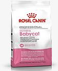 ROYAL CANIN Babycat Роял Канин Бэбикэт, корм для котят до 4-х месяцев, уп. 10 кг
