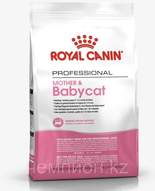 ROYAL CANIN Babycat Роял Канин Бэбикэт, корм для котят до 4-х месяцев, уп. 10 кг - фото 1 - id-p73761868