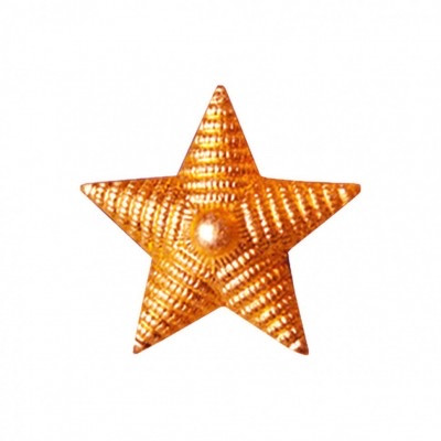 Звёзды на погоны-1,2 см /золото ( пр. Абая 141 ), фото 1