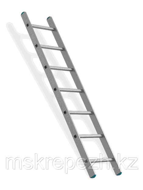 Лестница односекционная 1*9, фото 1