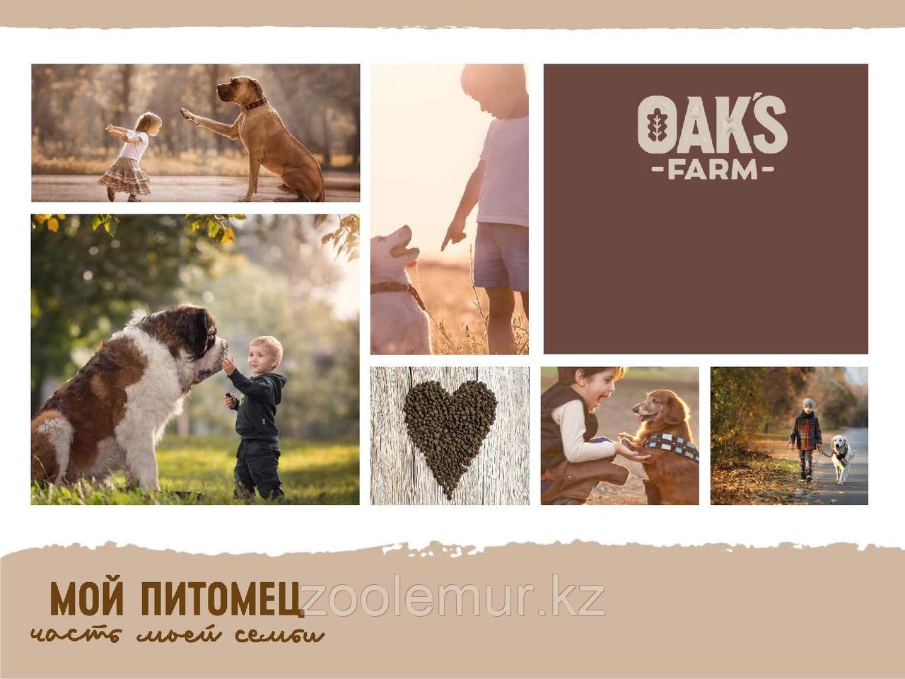 OAKS FARM GF сухой корм для котят Лосось 400гр - фото 6 - id-p88959954