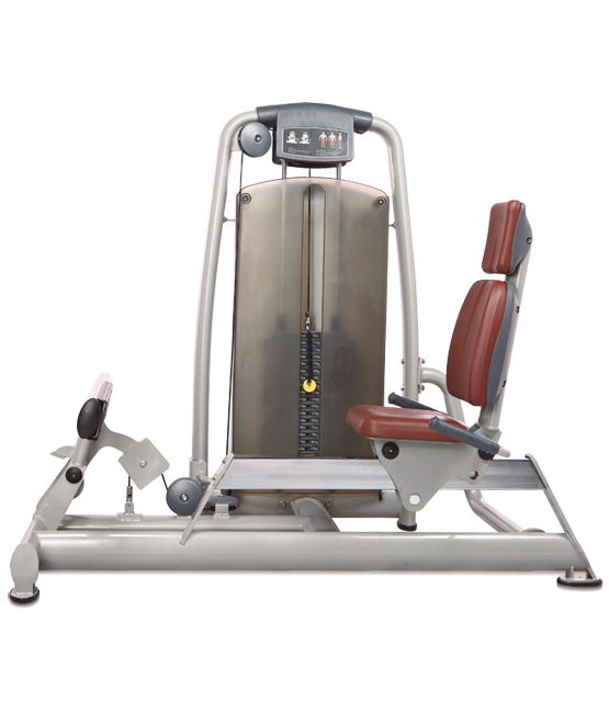 BRONZE GYM A9-017A Голень-машина