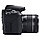 Зеркальная фотокамера Canon / / EOS 850D EF 18-55 IS STM, фото 3