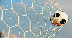 Сетка шестигранная для футбольных ворот нить D=5 мм (7,32х2,44 м)