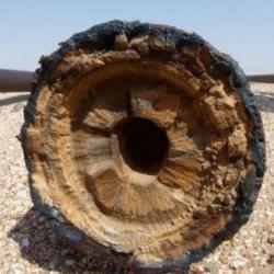 Ингибитор солеотложений Clariant SCALETREAT SCALE MANAGEMENT AND CONTROL TECHNOLOGIES