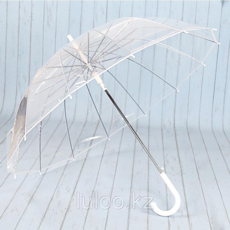 Прозрачный зонт с белой ручкой. Алюминиевые спицы., фото 1