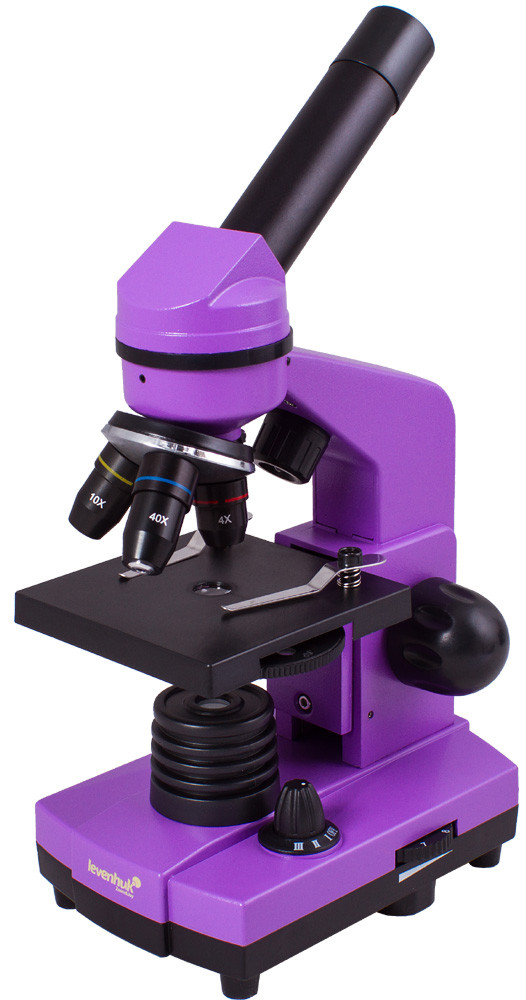 Микроскоп Levenhuk Rainbow 2L Amethyst\Аметист - фото 1 - id-p89090601