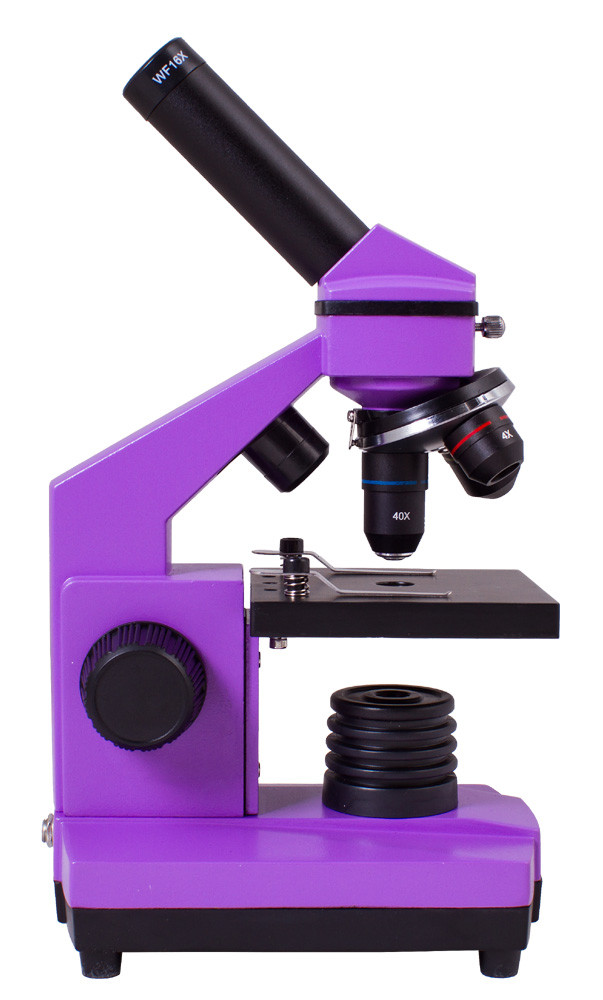 Микроскоп Levenhuk Rainbow 2L PLUS Amethyst\Аметист - фото 2 - id-p89090607