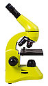 Микроскоп Levenhuk Rainbow 50L Lime\Лайм, фото 2
