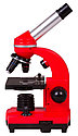 Микроскоп Bresser Junior Biolux SEL 40–1600x, красный, фото 7