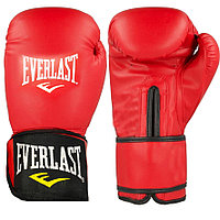 Боксерские перчатки 10-OZ Everlast Professional красные с надписью