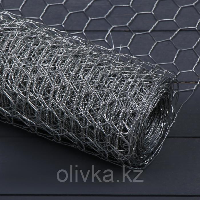 Сетка плетенная 1 х 10 м, ячейка 25 х 25 мм, d=1 мм, металл