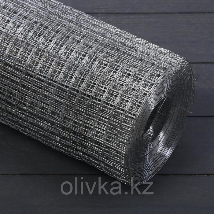 Сетка оцинкованная сварная 1 х 10 м, ячейка 25 х 25 мм, d=1,6 мм, металл