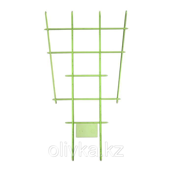Шпалера, 30 × 19 × 0.5 см, пластик, цвет МИКС, «Клетка», Greengo