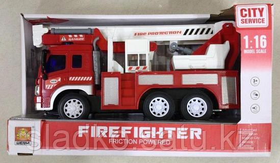 Қынаптың құрылымын көрсетіңіз