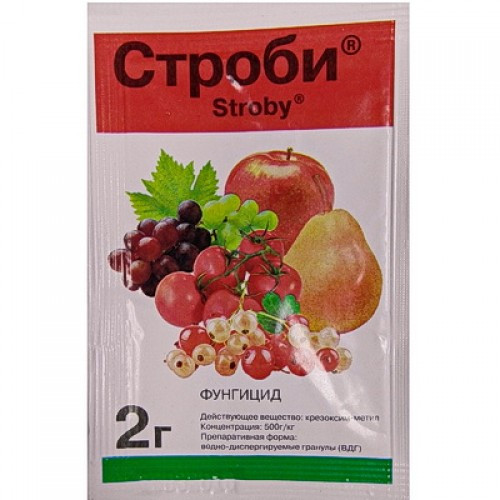 Строби 2г
