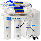 Гейзер-Аллегро М (с минерализатором)