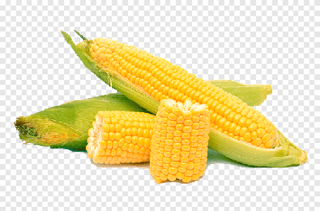 Семена кукурузы сладкая