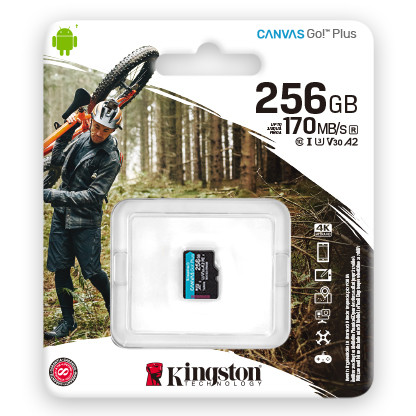 Kingston SDCG3/256GBSP карта памяти 256GB microSDXC Go U3 V30 Card без адаптера - фото 1 - id-p89254005