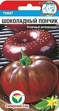 Томат Шоколадный Пончик