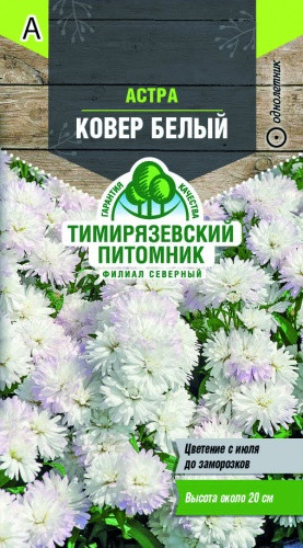 Семена астры Тимирязевский питомник "Ковер белый"